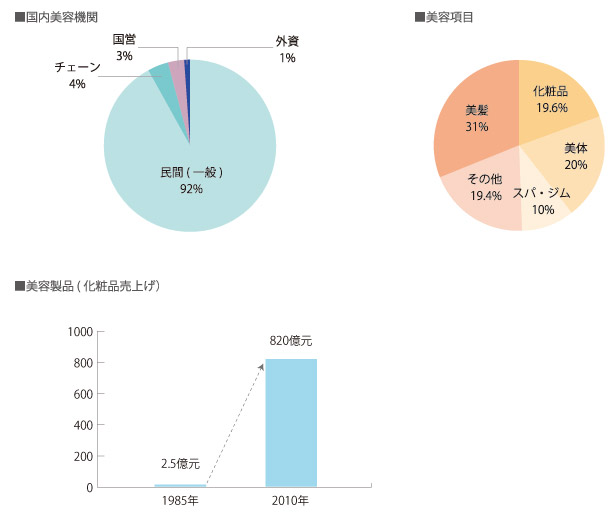 国内美容機関と美容製品（化粧品売上げ）のグラフ